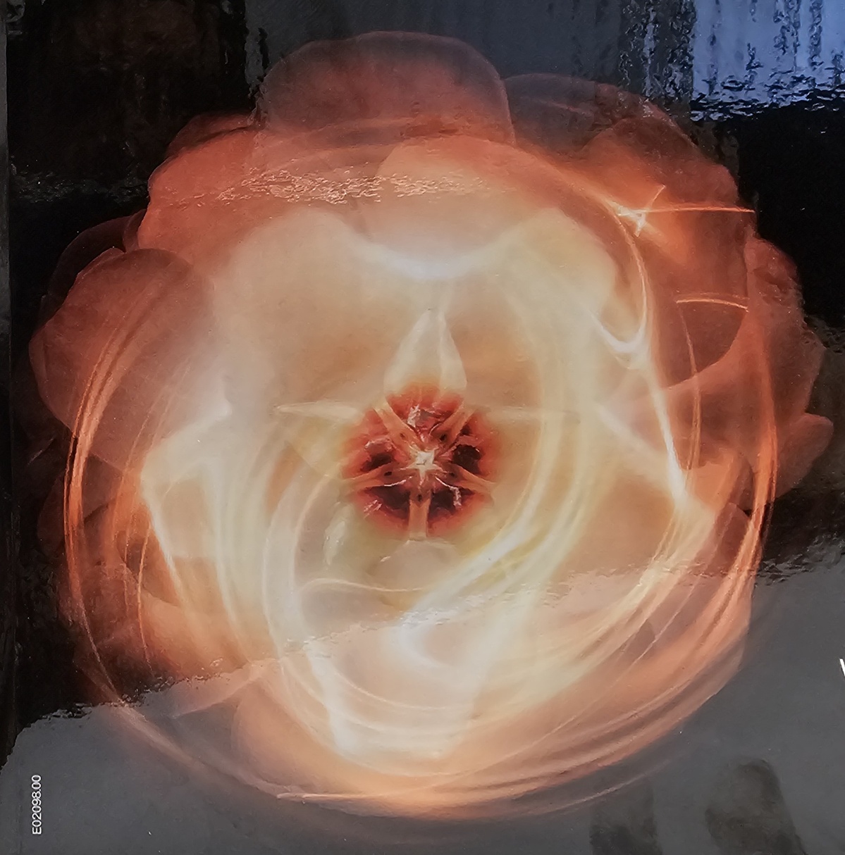 Soins du visage Soins du visage